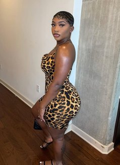 Cynthia - escort in Erbil Photo 6 of 6