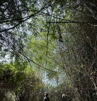 Cyrus - Male escort in Butwal