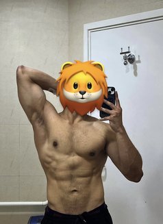 ALPHA BULL - Male escort in Ahmedabad Photo 1 of 1