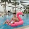 Twink Daniel - Male escort in Riyadh Photo 2 of 5