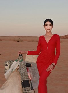 Dada last 2 weeks in Riyadh - Transsexual escort in Riyadh Photo 13 of 24