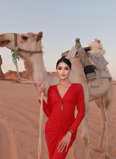 Dada last 2 weeks in Riyadh - Transsexual escort in Riyadh Photo 14 of 24