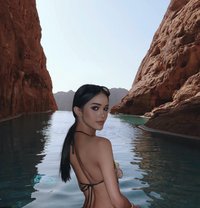 Dada big weapon - Transsexual escort in Riyadh