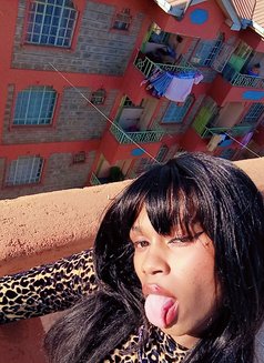 Daddies Hoe🏳️‍⚧️ - Transsexual escort in Nairobi Photo 7 of 8