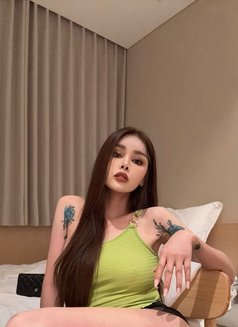 Daddy's Girl - puta in Seoul Photo 11 of 11