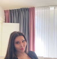 Dado - Transsexual escort in Amsterdam
