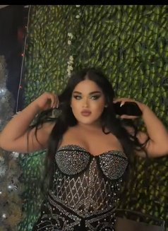 Dado - Transsexual escort in Beirut Photo 7 of 7