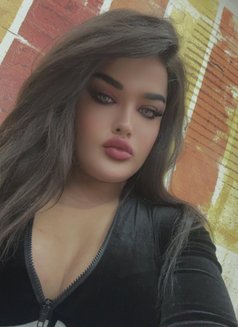 Dado - Transsexual escort in Beirut Photo 8 of 8