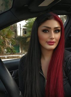 TOTY - puta in Beirut Photo 7 of 7