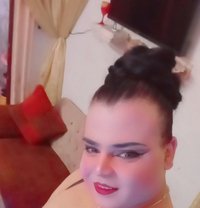 Dado - Acompañantes transexual in Damascus