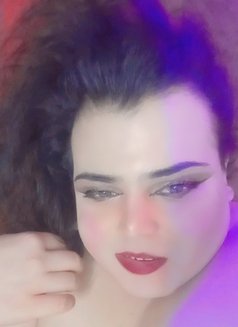 Dado - Transsexual escort in Damascus Photo 5 of 5