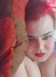 Dado - Transsexual escort in Damascus Photo 3 of 7