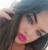 Dado - Transsexual escort in Erbil