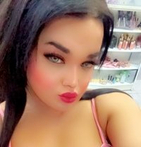 Dado - Acompañantes transexual in Beirut