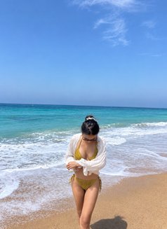 Dahlia Fresh Face GFE - escort in Singapore Photo 3 of 28