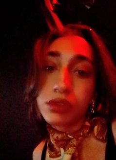 Daiana - Transsexual escort in Beirut Photo 3 of 3