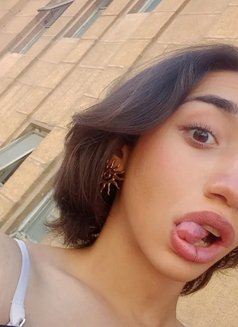 Daiana - Transsexual escort in Beirut Photo 3 of 5