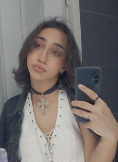 Daiana - Acompañantes transexual in Beirut Photo 3 of 4