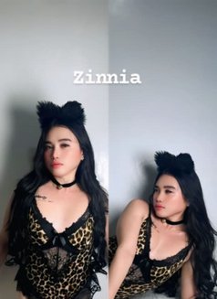 Daisuke Paradise Spa Mnl - Masajista in Manila Photo 12 of 13