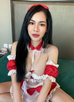 Daisy full service at business bay - escort in Dubai Photo 26 of 30