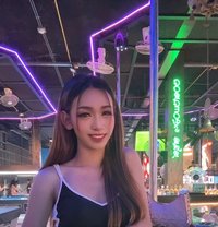 Daisy Lb - Transsexual escort in Phuket