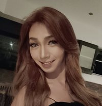 Daisy Lb - Transsexual escort in Phuket