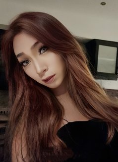 Daisy Lb - Transsexual escort in Phuket Photo 3 of 4