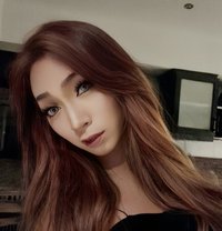 Daisy Lb - Transsexual escort in Phuket