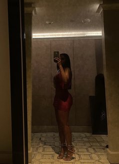 Daisy - escort in Dubai Photo 1 of 5