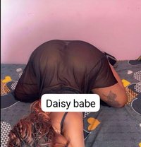 Daisy - escort in Hyderabad