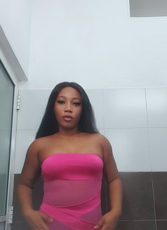 Daisy - escort in Colombo Photo 2 of 3