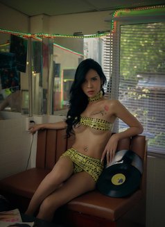 DaisyLadyboy_hot - Transsexual escort in Ho Chi Minh City Photo 17 of 17