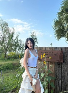 Daiya - Acompañantes transexual in Phuket Photo 2 of 6
