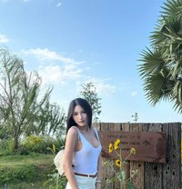 Daiya - Acompañantes transexual in Phuket