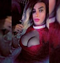 دلع الشام - Transsexual escort in Beirut