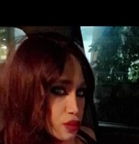 Dalida23cm - Transsexual escort in Beirut