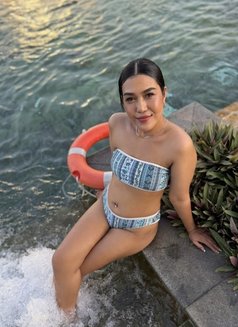 Dalin Holiday Gfe - escort in Bangkok Photo 1 of 8