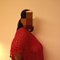 Damini Kapoor - escort in Mumbai Photo 2 of 4