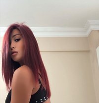 Dana Bam - Acompañantes transexual in İstanbul