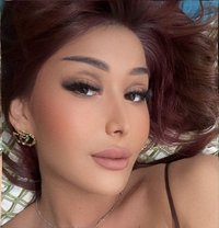 Dana Bam - Transsexual escort in İstanbul Photo 13 of 13