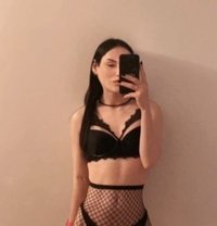 Dana Active - Transsexual escort in Amsterdam