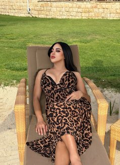 Dana ladyboy both - Transsexual escort in Abu Dhabi Photo 6 of 10