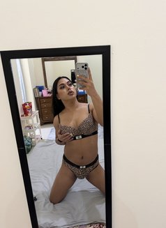 Dana69 VIP - Acompañantes transexual in Abu Dhabi Photo 13 of 14