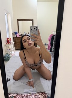 Dana69 VIP - Acompañantes transexual in Abu Dhabi Photo 14 of 14