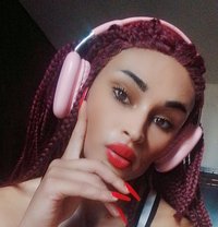 Dana - Transsexual escort agency in Beirut