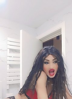 DANA «ست» - Transsexual escort agency in Beirut Photo 6 of 28