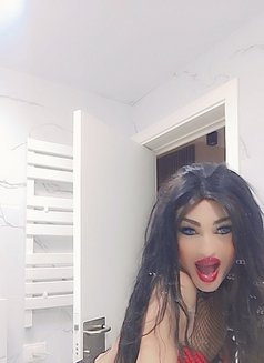 DANA «ست» - Transsexual escort agency in Beirut Photo 7 of 28