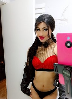 DANA «ست» - Transsexual escort agency in Beirut Photo 12 of 28