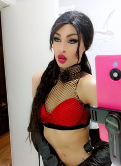 DANA «ست» - Transsexual escort agency in Beirut Photo 14 of 28