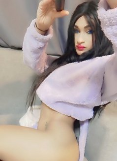 DANA «ست» - Transsexual escort agency in Beirut Photo 19 of 28